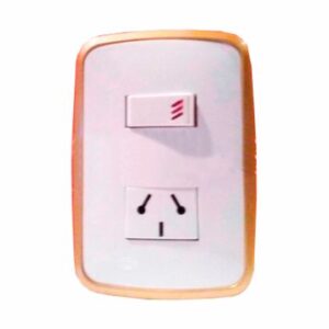 1 INT COMB Y 1 TOMACORRIENTE C/TIERRA - (70001094)